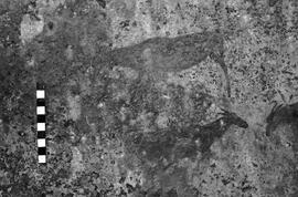 NMSA 03 4217P