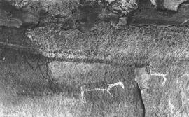 NMSA 03 978P