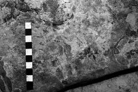 NMSA 03 4182P