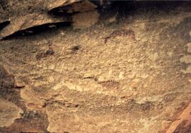 NMSA 02 173P
