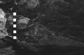 NMSA 03 2707P
