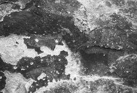 NMSA 03 8300P