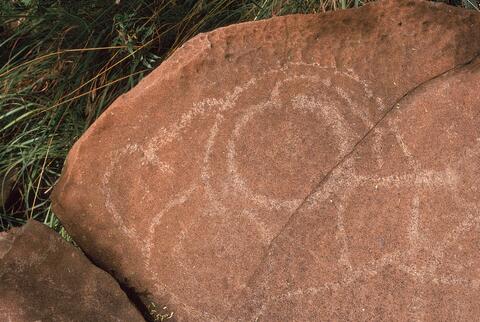 Open original Digital object