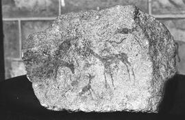 NMSA 03 74N
