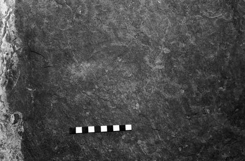 Open original Digitaal object