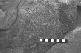 NMSA 03 2812P