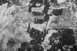 NMSA 03 8349P