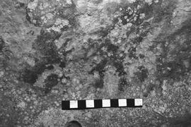 NMSA 03 4564P