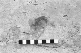 NMSA 03 1863P
