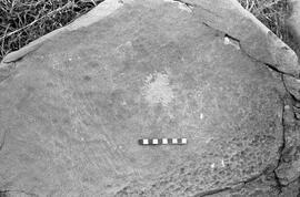 NMSA 03 7452P