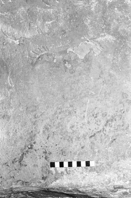 NMSA 03 1346P