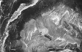 NMSA 03 625P
