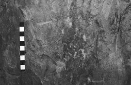 NMSA 03 3238P