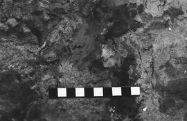 NMSA 03 2729P