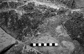 NMSA 03 3786P
