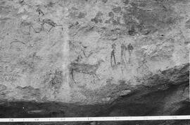 NMSA 03 233P