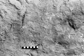 NMSA 03 4318P