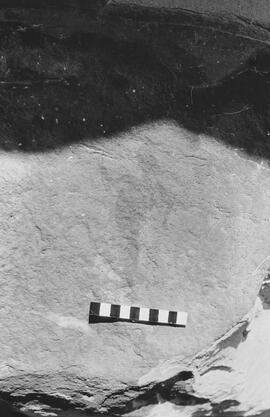 NMSA 03 925P