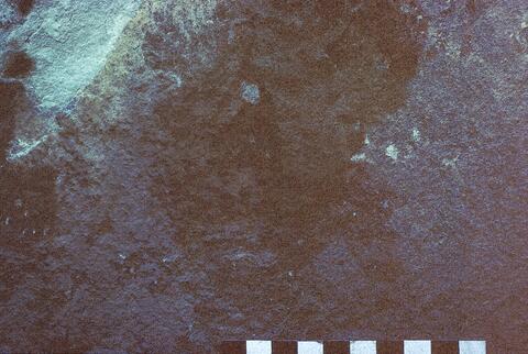 Open original Digitaal object