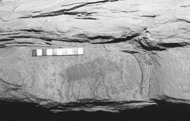 NMSA 03 1216P