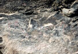 NMSA 02 296P