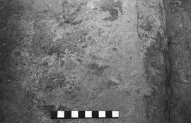 NMSA 03 4467P