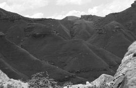 NMSA 03 6841P