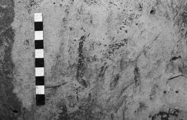 NMSA 03 4603P
