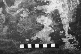 NMSA 03 4334P