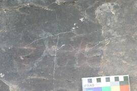 NMSA RSA KOP5 5D