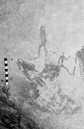 NMSA 03 6146P