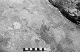 NMSA 03 6156P