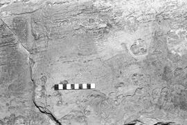 NMSA 03 1383P
