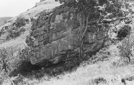NMSA 03 1748P