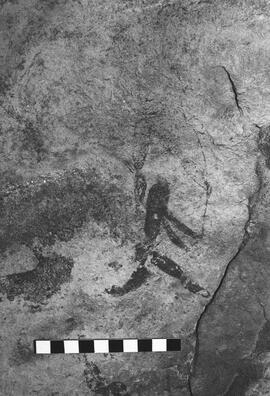 NMSA 03 5259P