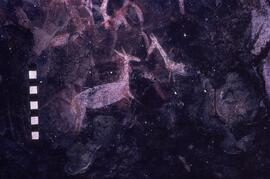 RSA GIC6 89