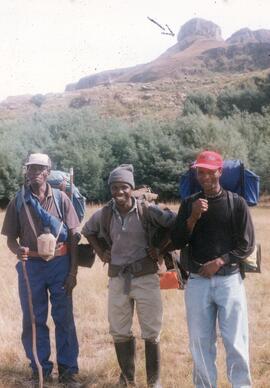 NMSA 02 333P