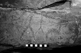 NMSA 03 4477P