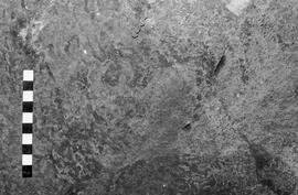 NMSA 03 6122P