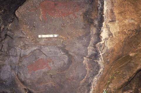 Open original Digitaal object