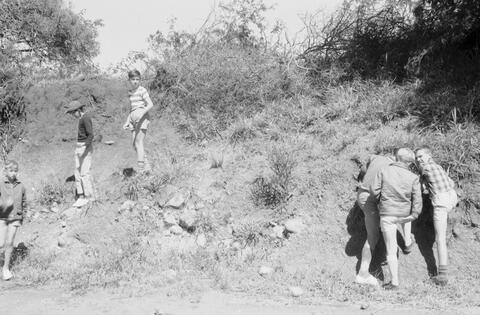 Open original Digital object