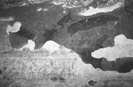 NMSA 03 7428P