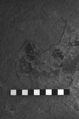 NMSA 03 2398P