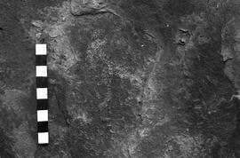 NMSA 03 3023P