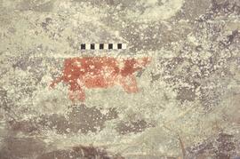 RSA CWD6 7