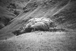 NMSA 03 1912P