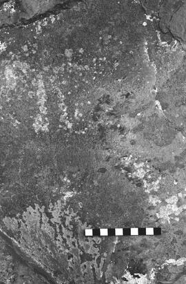NMSA 03 2508P