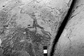 NMSA 03 4068P