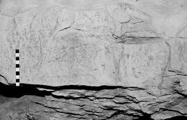NMSA 03 6477P