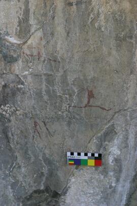 NMSA RSA LOM1 7D